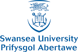 Sweansea recruitment agency swansea university